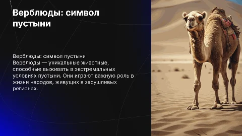 Верблюды