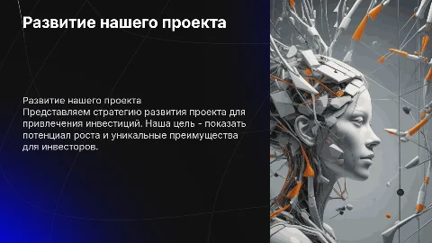 Презентация по развитию проекта чтобы в него инвестировали