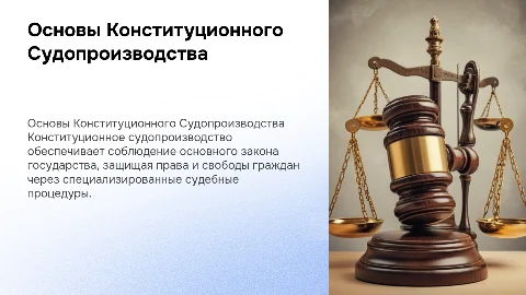 Основные принципы конституционного судебного производства