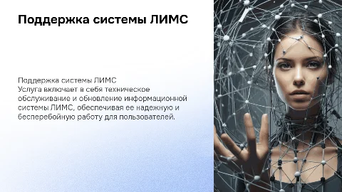 Услуга по поддержки информационной системы ЛИМС