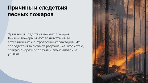 причины и следствия лесных пожаров