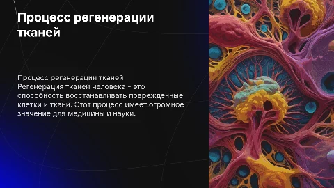 процесс регенерации тканей человека
