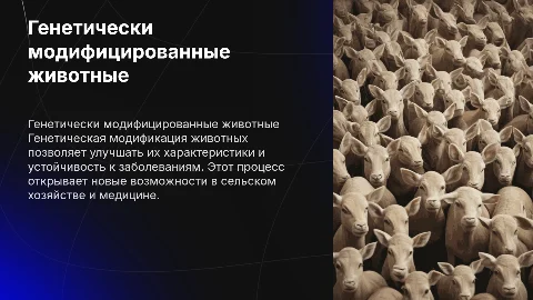 генетически модифицированные животные