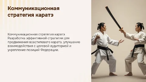 Коммуникационная стратегия для Федерации всестилевого каратэ