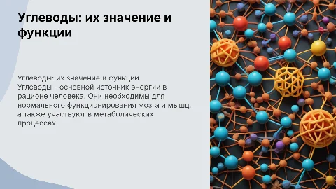 углеводы и их роль в жизни человека