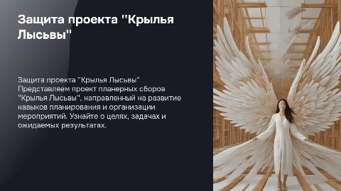 Защита проекта Планерные сборы "Крылья Лысьвы"