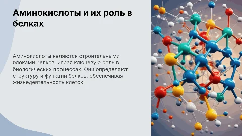Презентация: Аминокислоты и белки: презентация для 10 класса