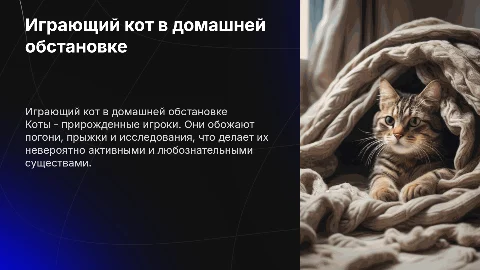 играющий кот