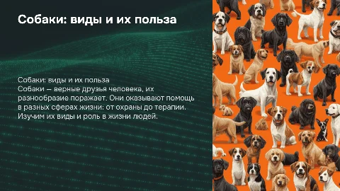 Собаки и их виды: польза для людей и общества