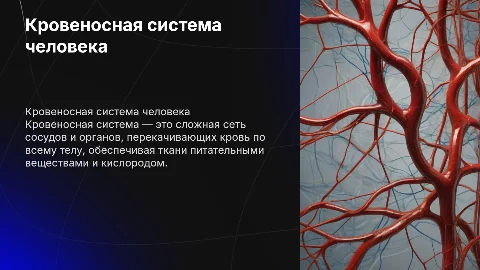 кровеносная система человека