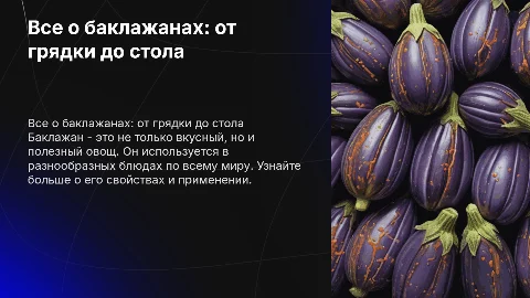 тема презентации: баклажан