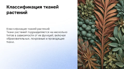 Ткани растений: классификация по функциям
