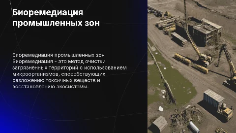 Биоремедиация как метод очистки загрязненных территорий