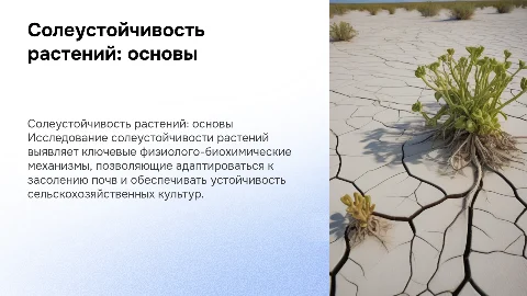 Физиолого-биохимические аспекты солеустойчивости растений