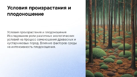 Влияние условий произрастания на семеношение древесных пород
