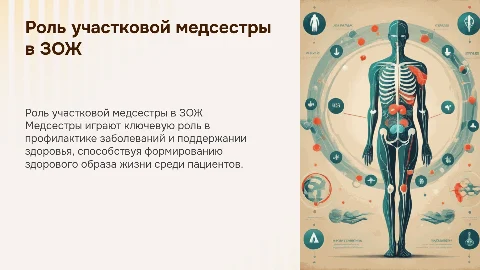 Роль участковой медицинской сестры в формировании зож