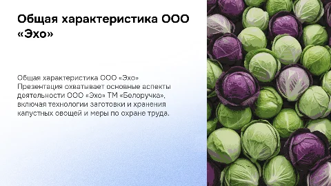 Общая характеристика предприятия ООО «Эхо» ТМ «Белоручка»