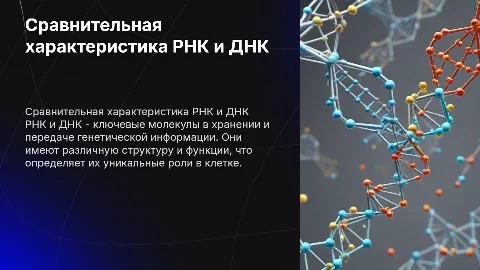 Сравнительная характеристика РНК и днк