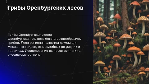грибы наших лесов оренбургская область