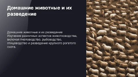 Домашние животные: разведение и уход за ними