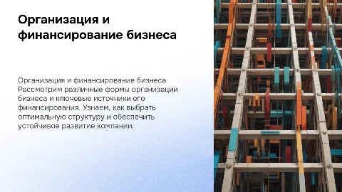 Формы организации бизнеса. Источники финансирования бизнеса