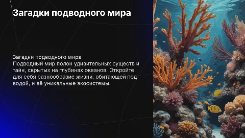 Подводный мир