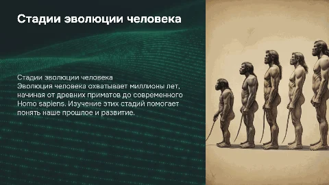 Стадии эволюции человека