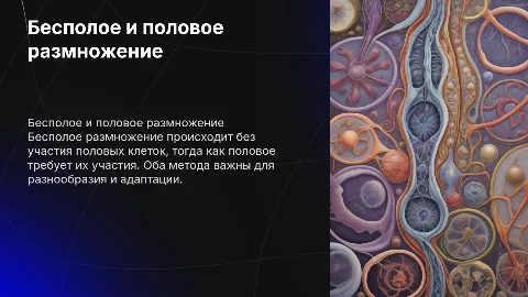 Бесполое и половое размножение