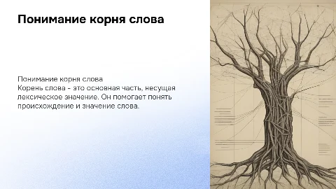 корень слова