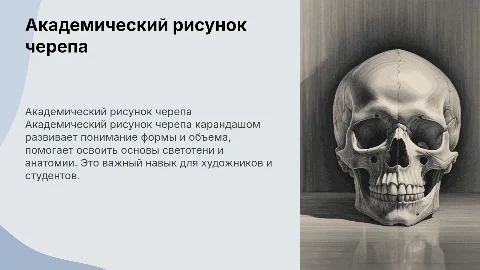 Академический рисунок черепа карандашом