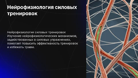 Нейрофизиология силовых упражнений
