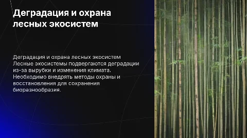Причины деградации и охрана лесных экосистем