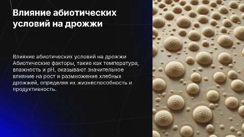 Влияние абиотических условий на рост хлебных дрожжей