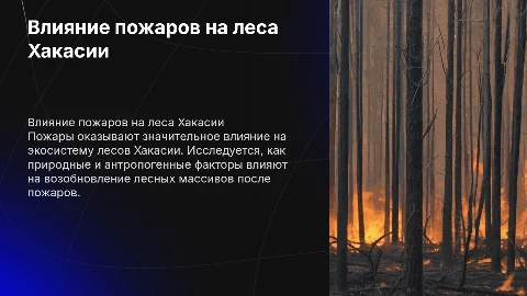 Оценка влияния пожаров на возобновление леса Хакасии