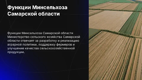 функции Министерства сельского хозяйства Самарской области