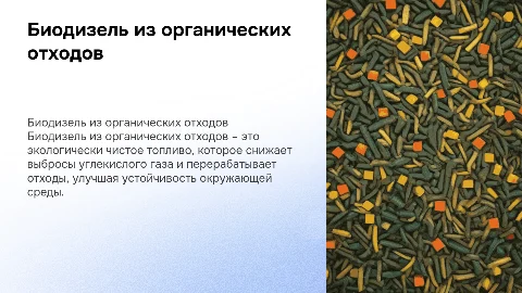 биодизель из органических отходов