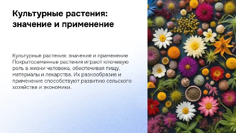 Культурные представители покрытосеменных и их использование