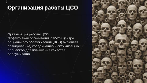 ОРГАНИЗАЦИЯ РАБОТЫ ЦСО
