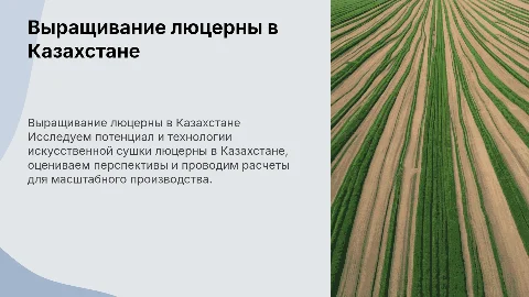 Масштабное выращивание люцерны в Казахстане: технологии и перспективы