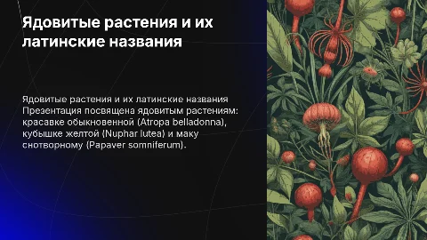 Ядовитые растения: красавка, кубышка, мак снотворный