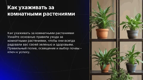 Как ухаживать за комнатными растениями