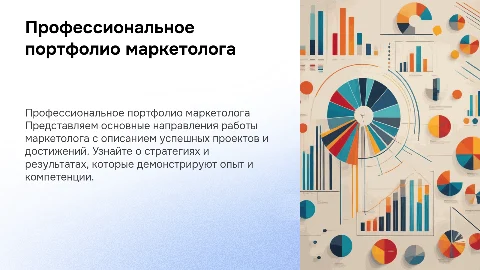 Профессиональное портфолио маркетолога: проекты и результаты