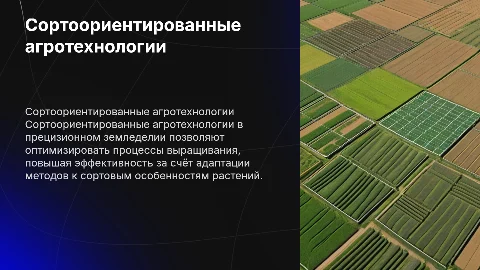 Сортоориентированные агротехнологии в прецизионном земледелии