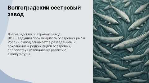 Волгоградский осетровый завод (ВОЗ)