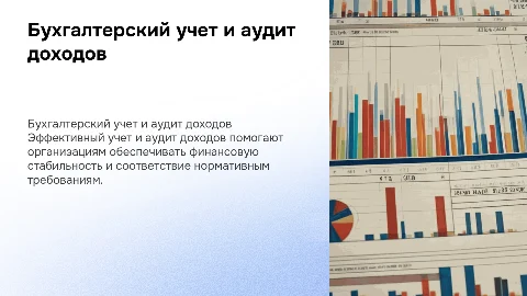 Бухгалтерский учет и аудит доходов организации