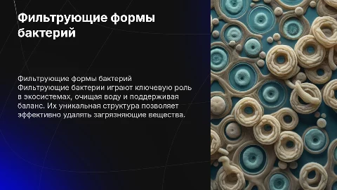 Фильтрующие формы бактерий