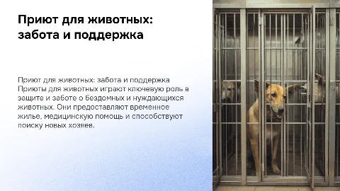 приют животных