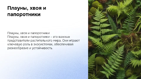 Плауны, хвоя и папоротники