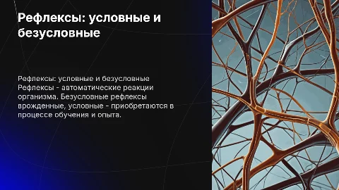 Рефлексы: условные и безусловные