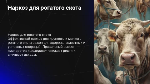 Наркоз крупного и мелкого рогатого скота